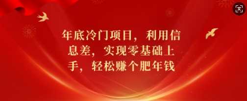 年底冷门项目，利用信息差，实现零基础上手，轻松赚个肥年钱【揭秘】-百盟网