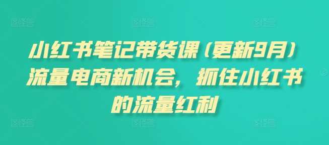 小红书笔记带货课(更新12月)流量电商新机会，抓住小红书的流量红利-百盟网