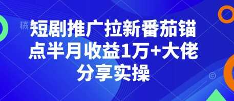 短剧推广拉新番茄锚点半月收益1万+大佬分享实操-百盟网