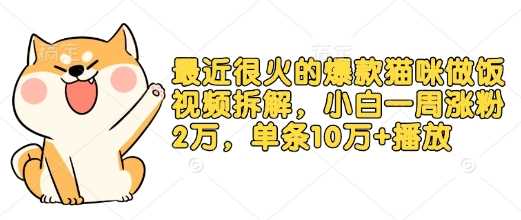 最近很火的爆款猫咪做饭视频拆解，小白一周涨粉2万，单条10万+播放(附保姆级教程)-百盟网