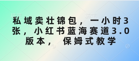 私域卖壮锦包，一小时3张，小红书蓝海赛道3.0版本， 保姆式教学-百盟网