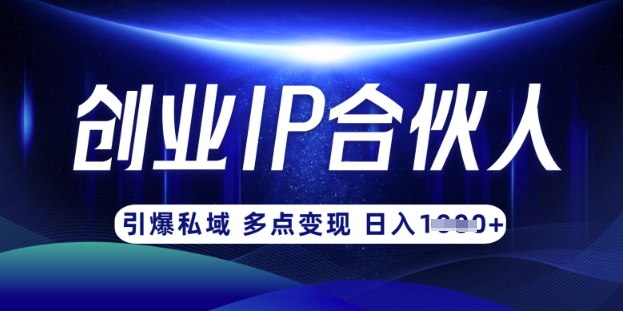 云帆·创业ip合伙人打造3.0，从0到1教你做网创，实现月入过W-百盟网