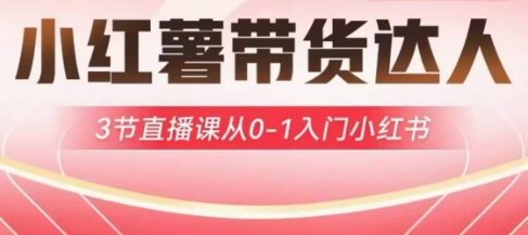 小红薯达人带货启航计划，3节直播课从0-1入门小红书-百盟网