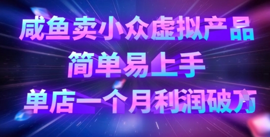 咸鱼卖小众虚拟产品，简单易上手，单店一个月利润破W-百盟网
