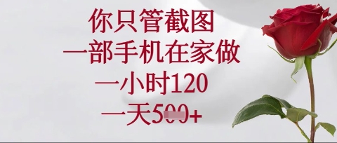 你只管截图，一部手机在家操作，一小时120.一天5张【揭秘】-百盟网