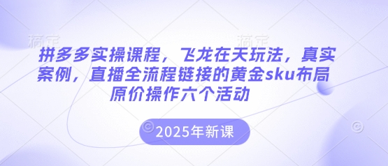 拼多多实操课程，飞龙在天玩法，真实案例，直播全流程链接的黄金sku布局原价操作六个活动-百盟网