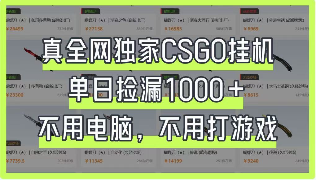 真全网独家CSGO挂机，单日捡漏1000+，不用电脑，不用养号-百盟网