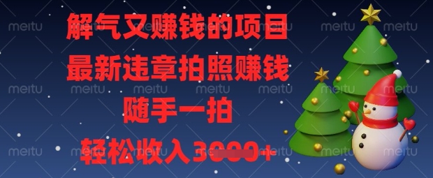 解气又挣钱的项目，最新违章拍照挣钱，随手一拍，轻松收入数张【揭秘】-百盟网