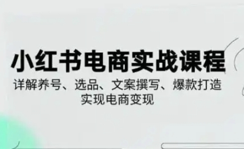 小红书从0-1实操课(2023-2025)，详解养号、选品、文案撰写、爆款打造实现电商变现-百盟网