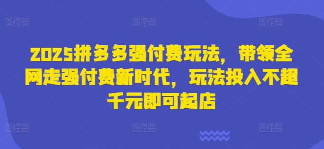 2025拼多多强付费玩法，带领全网走强付费新时代，玩法投入不超千元即可起店-百盟网