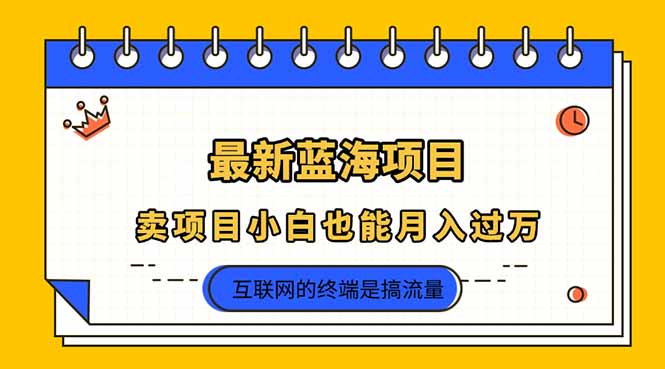 2025年最新蓝海项目，卖项目小白也能月入过万-百盟网