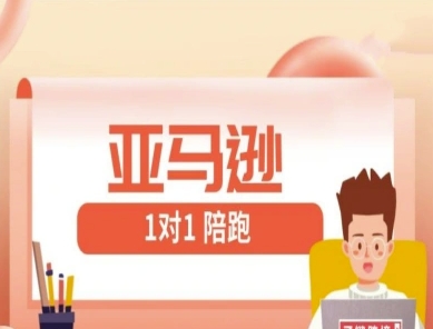 亚马逊1对1陪跑课(FBA/FBM精铺)跨境亚马逊教程-百盟网