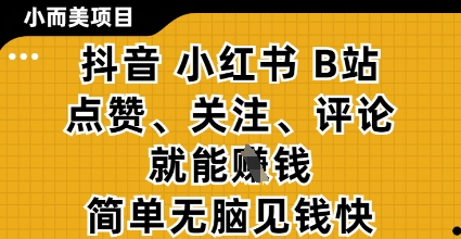 小而美的项目，抖音小红书B站视频点赞、关注、评论就能挣钱，简单无脑立见收益，妥妥的零撸项目【揭秘】-百盟网