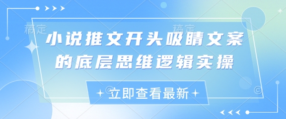 小说推文开头吸睛文案的底层思维逻辑实操-百盟网