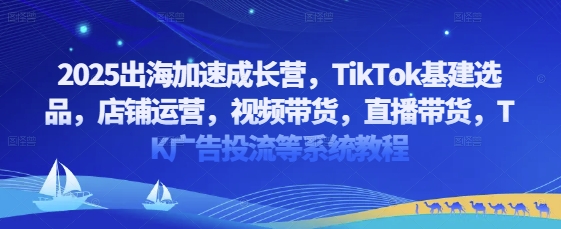 2025出海加速成长营，TikTok基建选品，店铺运营，视频带货，直播带货，TK广告投流等系统教程-百盟网