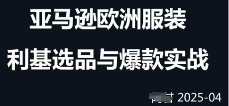 跨境电商选品案例24-25年，聚焦跨境电商选品策略与运营优化，助力卖家挖掘蓝海市场-百盟网